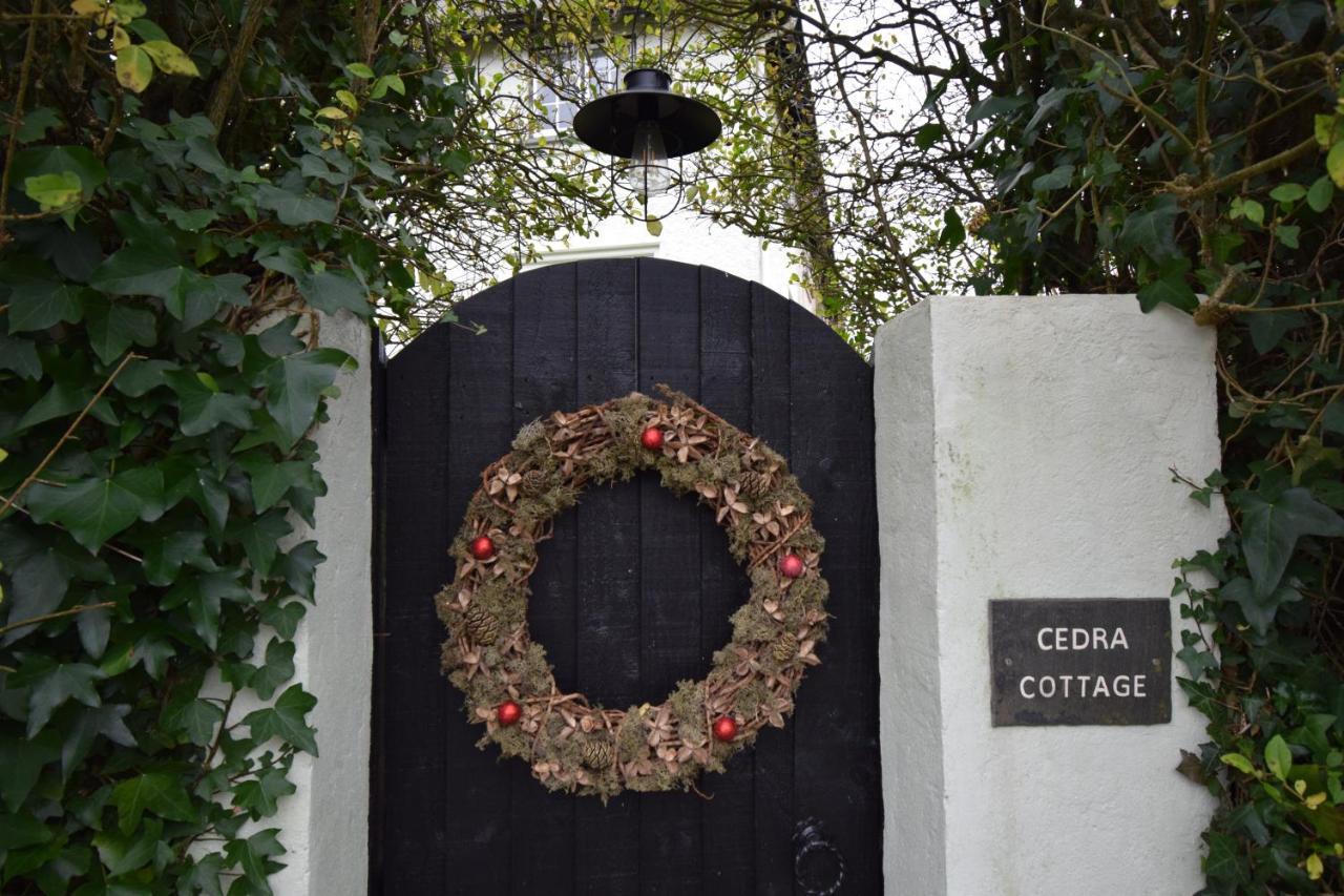 Cedra Cottage - Vintage Country Hideaway أكسمنستر المظهر الخارجي الصورة