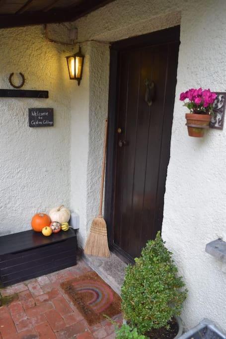 Cedra Cottage - Vintage Country Hideaway أكسمنستر المظهر الخارجي الصورة