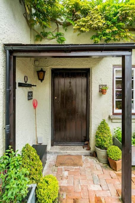 Cedra Cottage - Vintage Country Hideaway أكسمنستر المظهر الخارجي الصورة